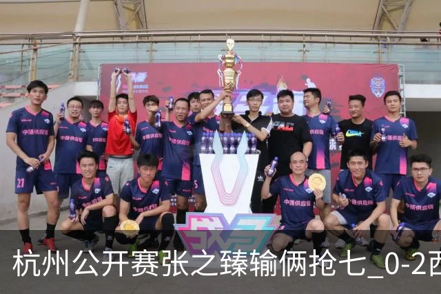 杭州公开赛张之臻输俩抢七 0-2西里奇收获亚军